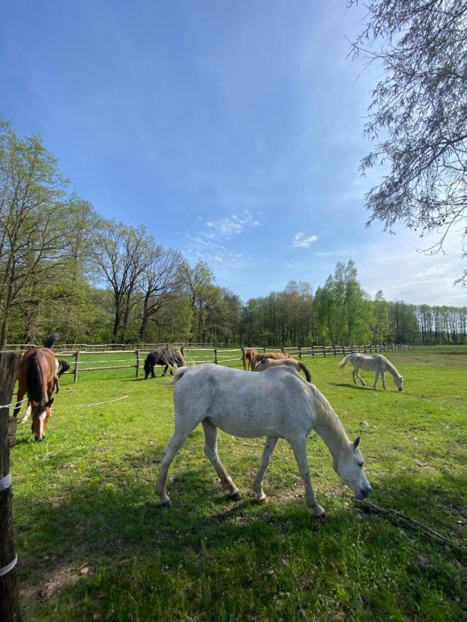 Inglotowka Pension Wolow  Buitenkant foto
