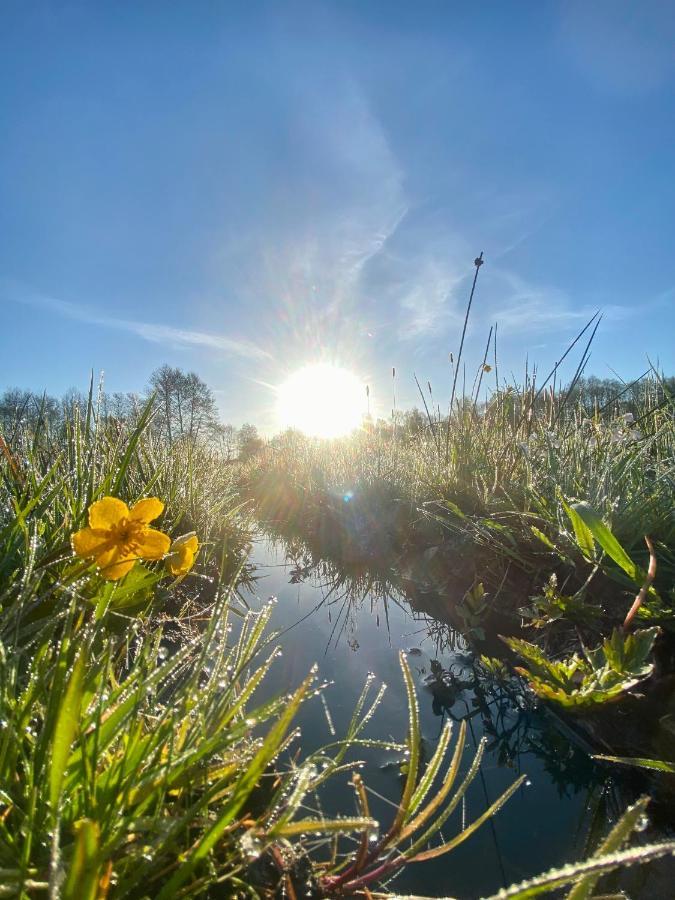 Inglotowka Pension Wolow  Buitenkant foto